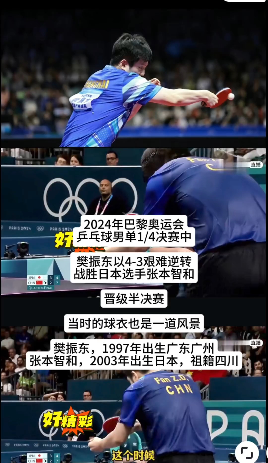 日本队轻取法国队，樊振东关键制胜