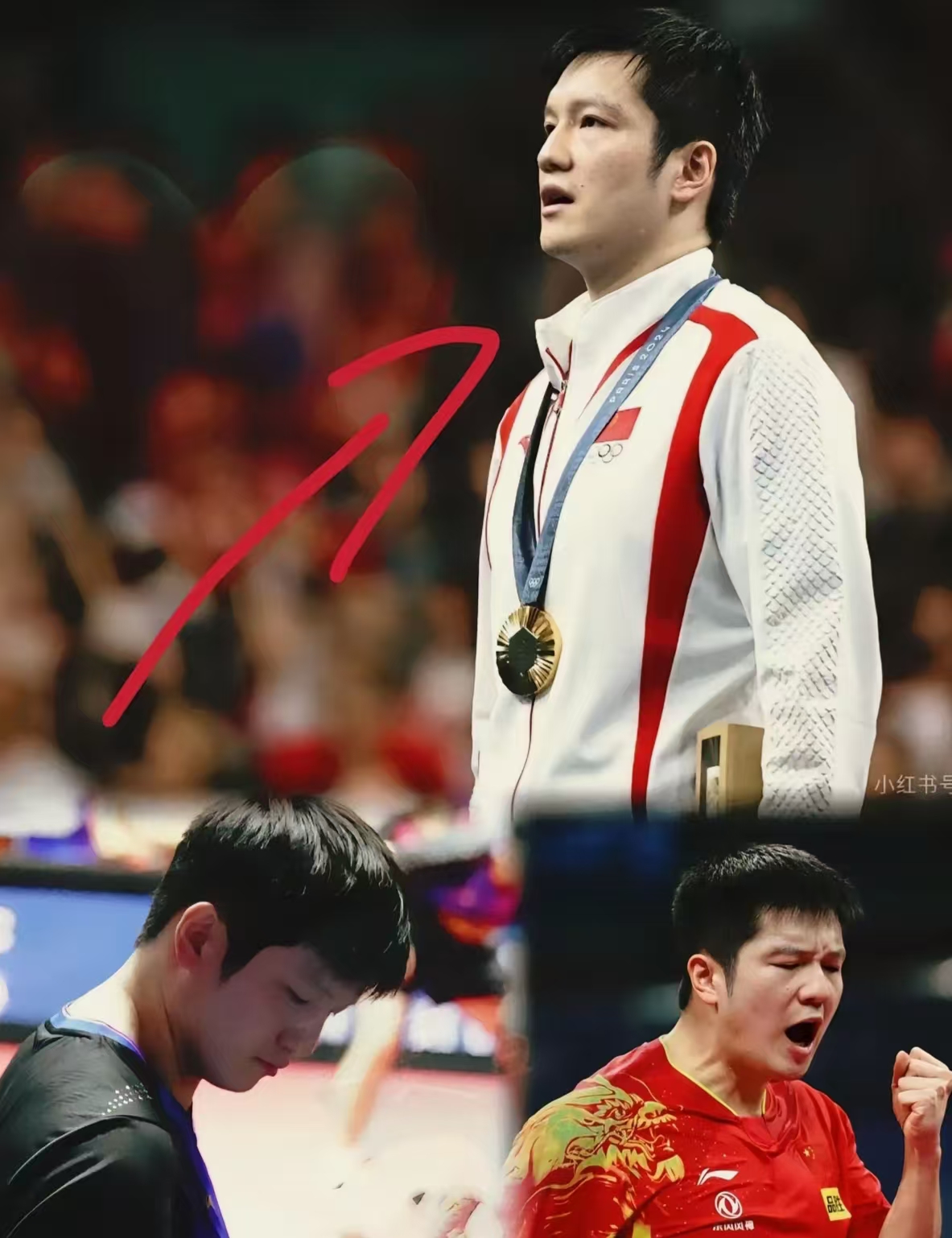 波兰队完胜葡萄牙队，樊振东惊艳四座