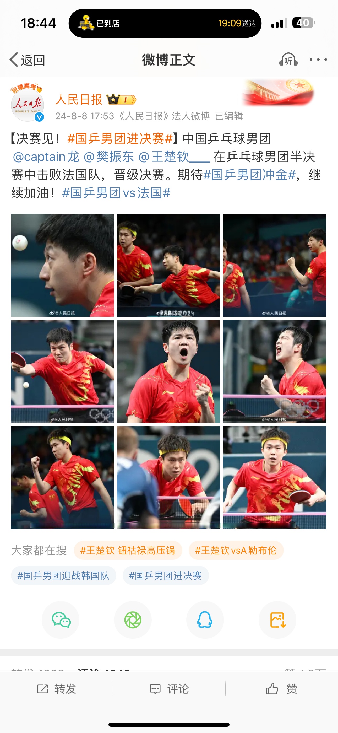 法国队横扫日本队，樊振东统治全场