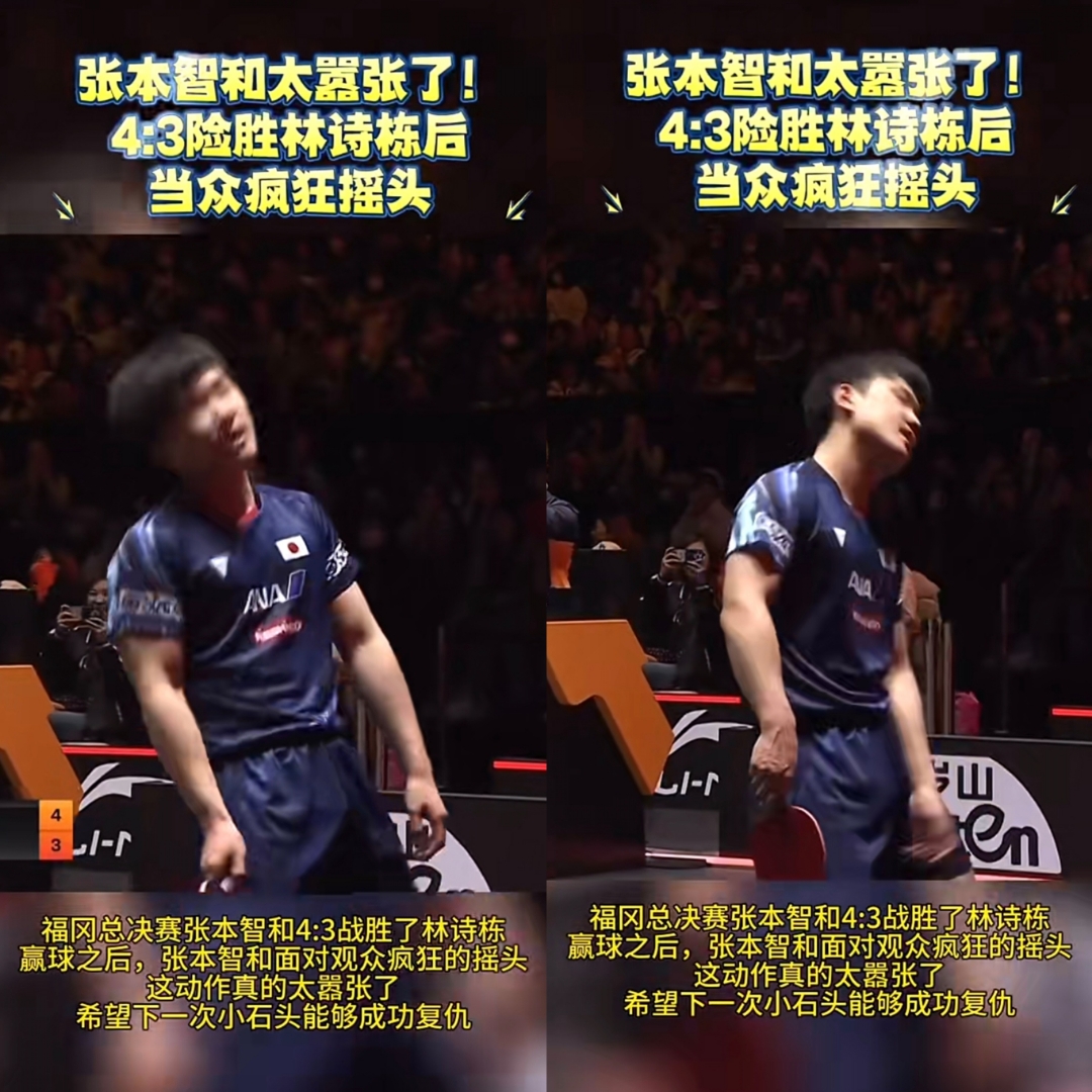 波兰乒乓球队力克英国乒乓球队，张本智和送出助攻