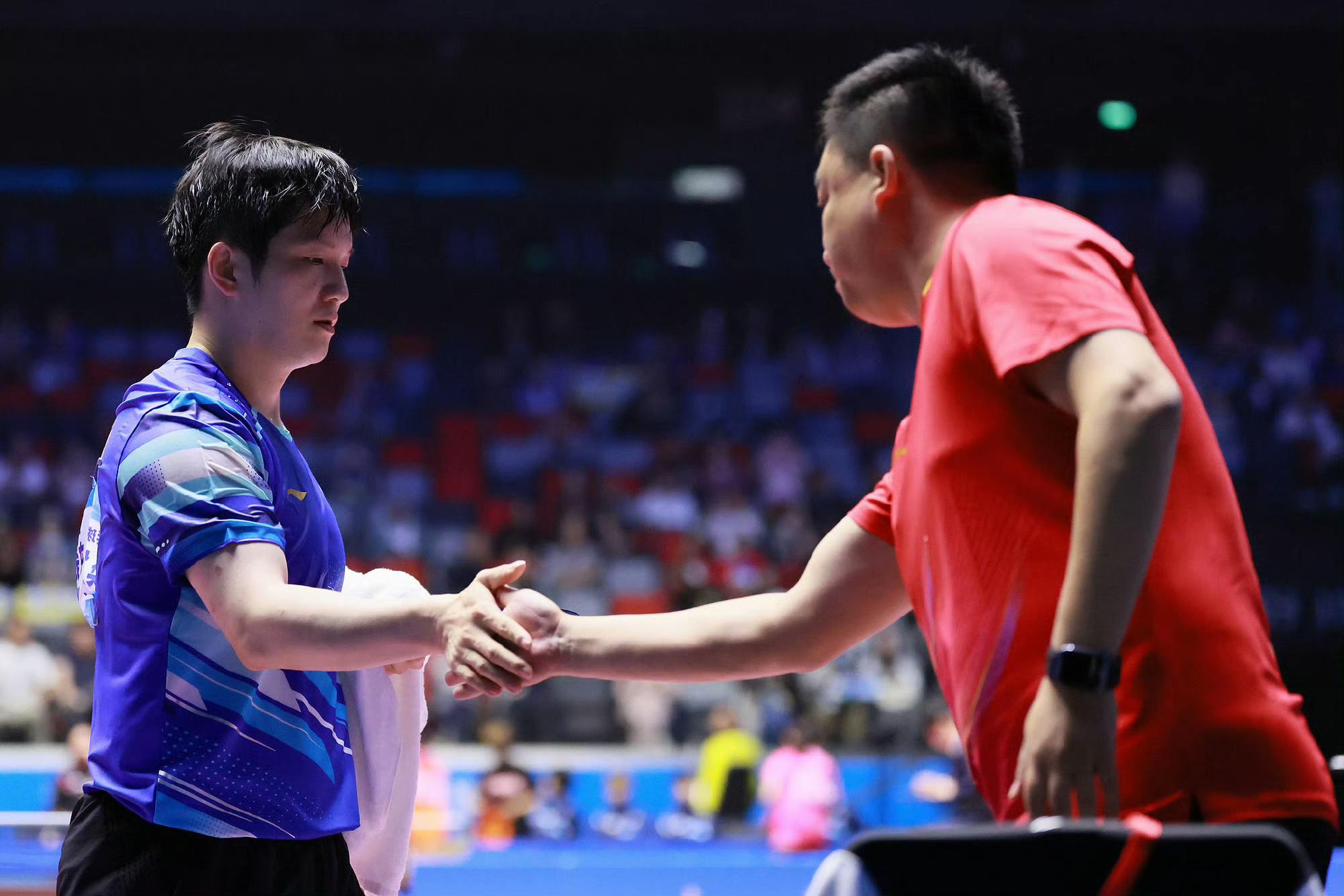 日本乒乓球队力克瑞典乒乓球队，樊振东送出助攻