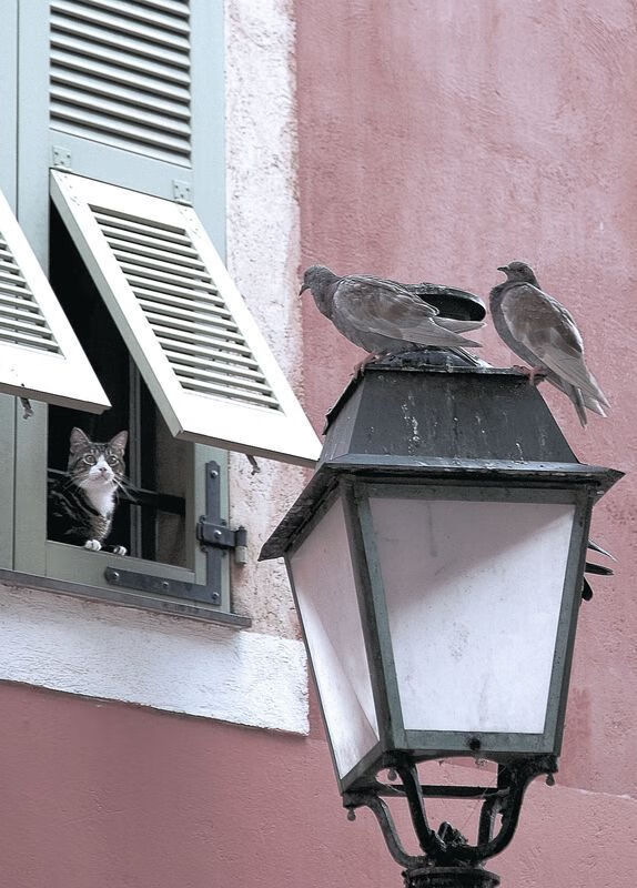 戈麦斯替补爆发一锤定音，乌克兰加时鏖战逆转丹麦续写梦想