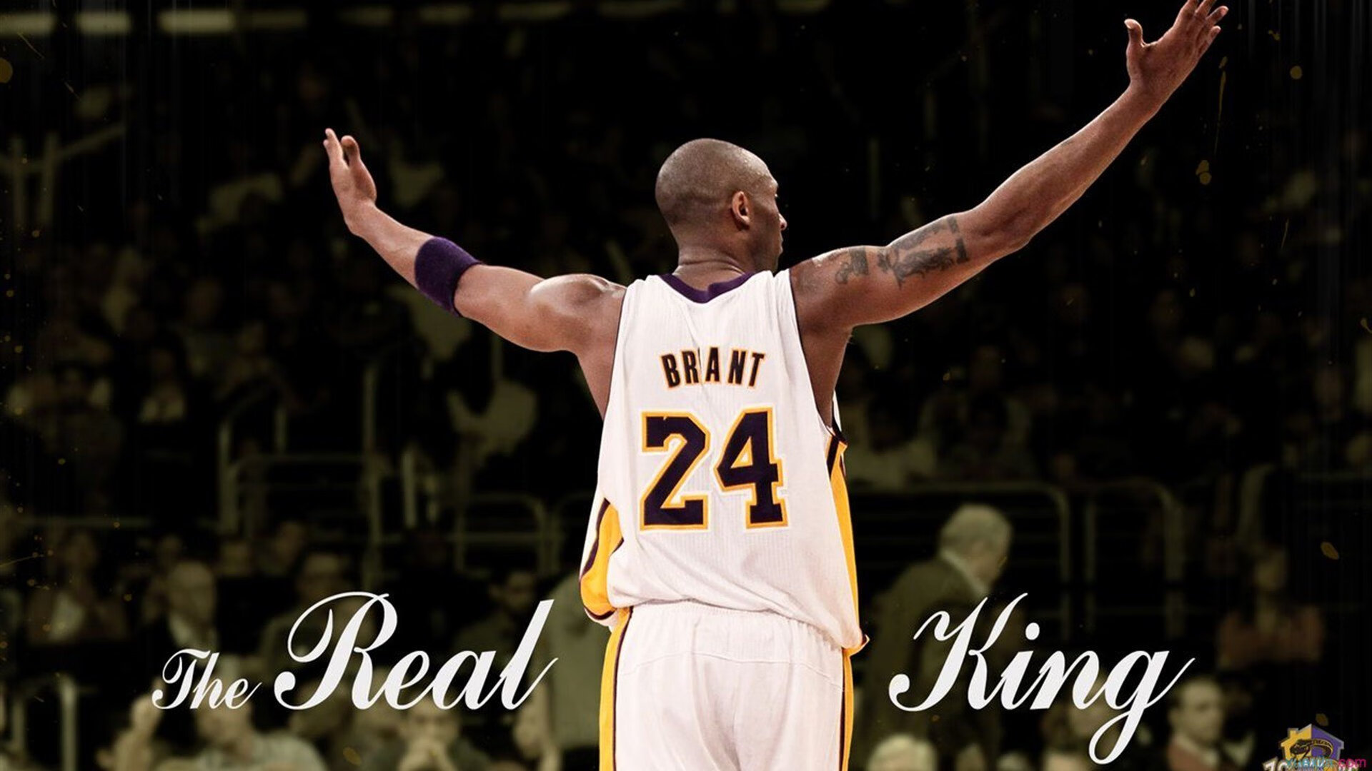 铁血防线与致命一击，卡瓦哈尔一剑封喉，罗马鏖战尼斯终定乾坤